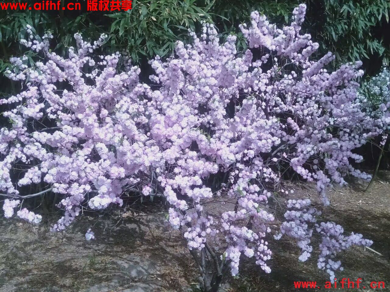 1-230F91014534E.jpg