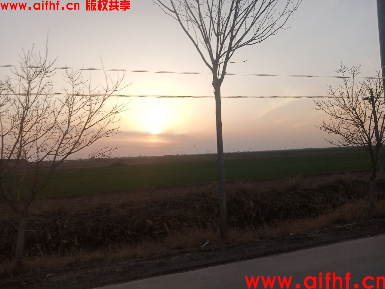 火星上的某信:路边的晚霞