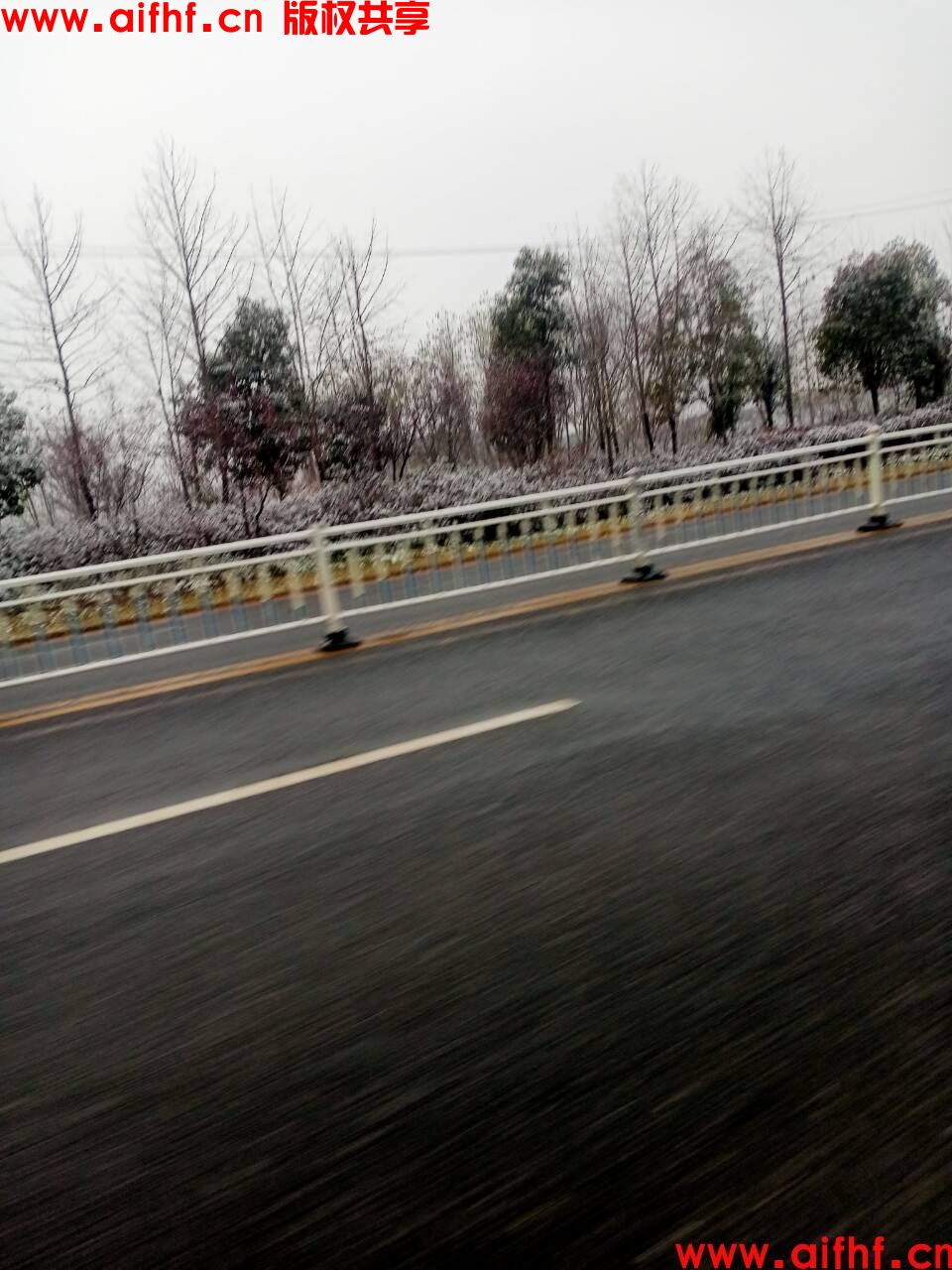 寻秋:冬季的寒风中