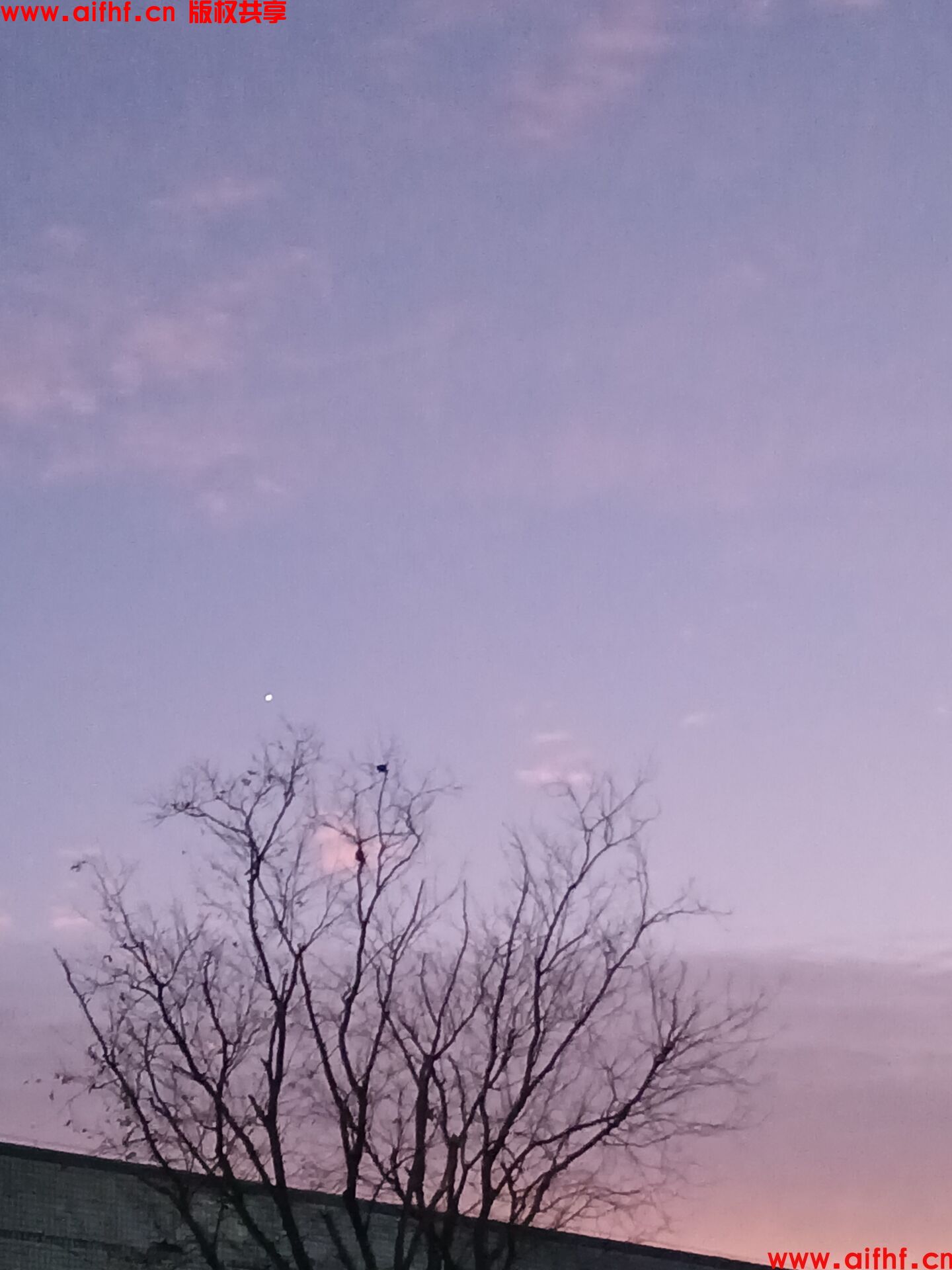 羞花的学渣：军训下的晚霞