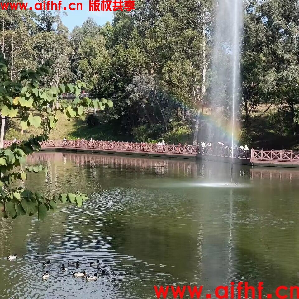 一行之内：看看有几只