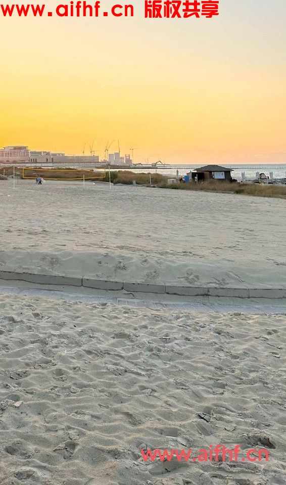 羞花的学渣：遗忘的沙滩