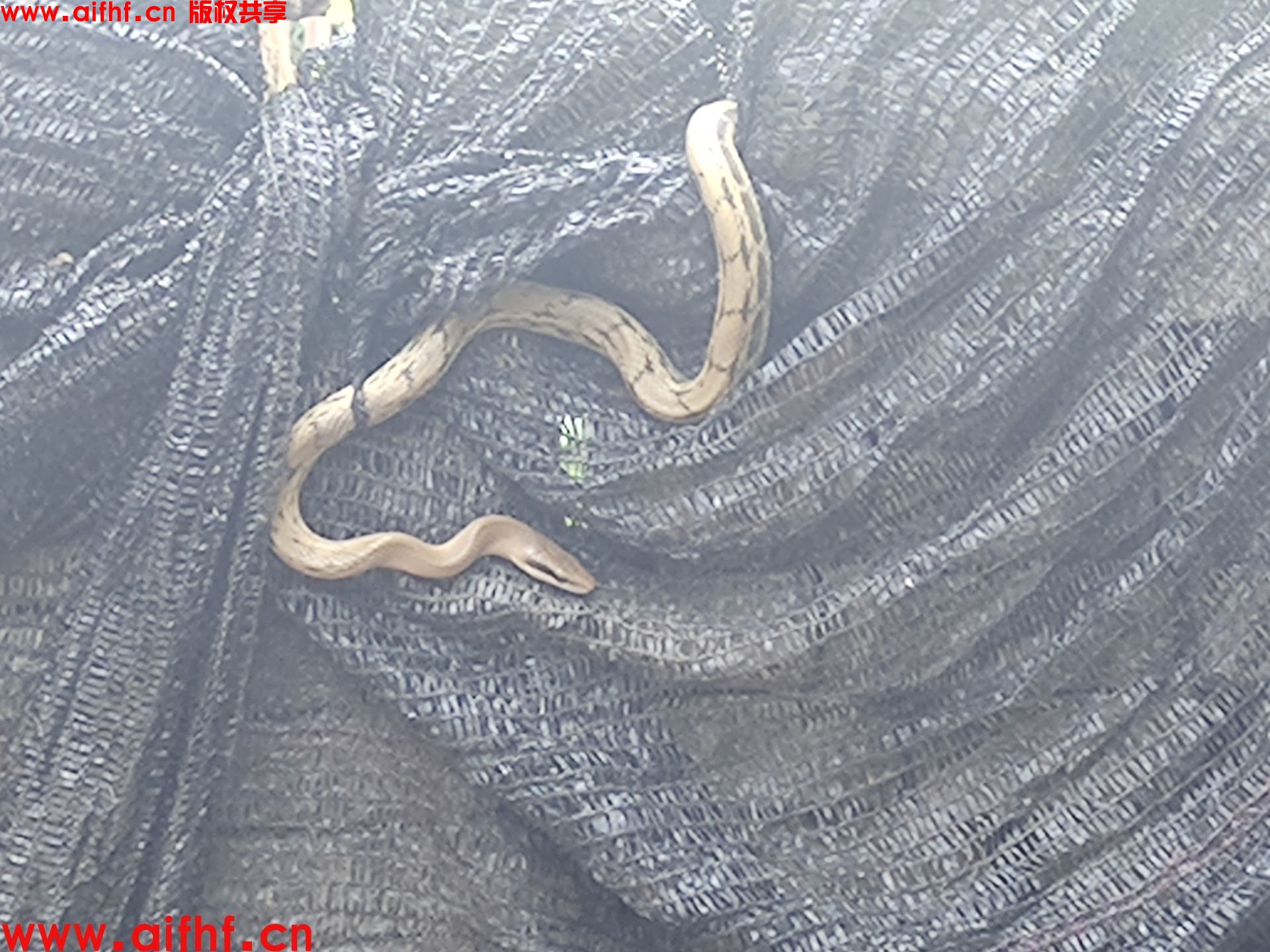 花呡：夏季注意户外活动安全