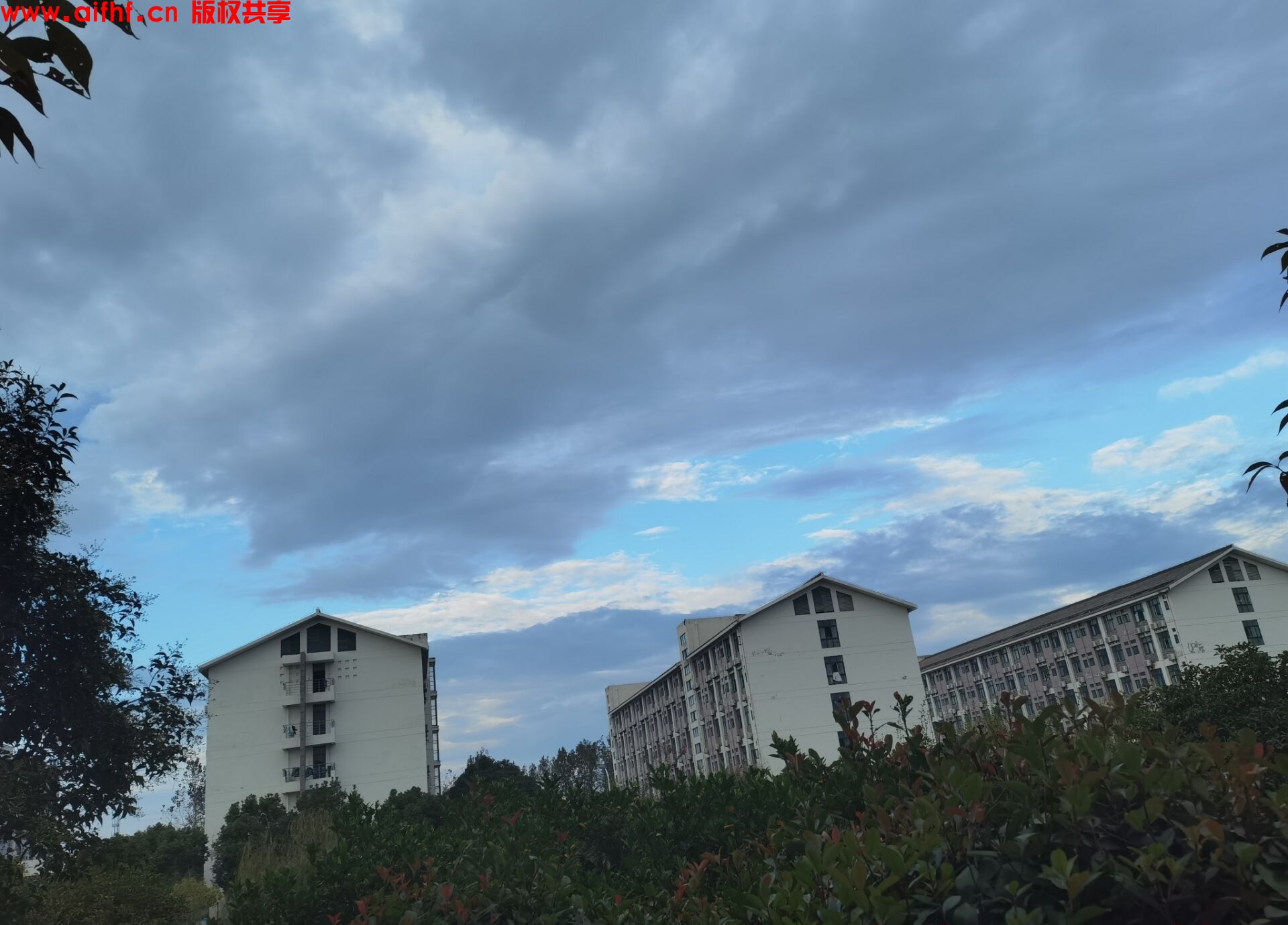 1-230FGU055308.jpg