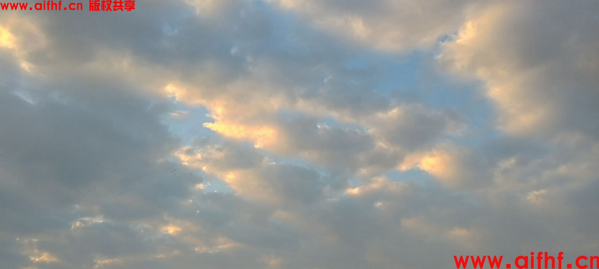 1-230F11PH9105.jpg