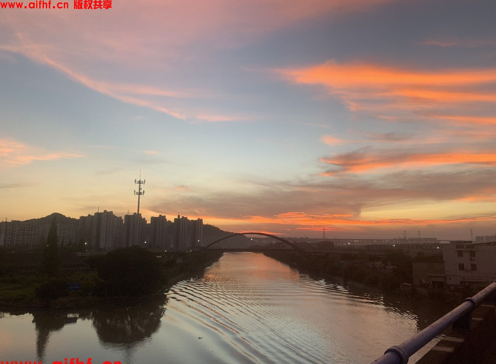 1-230G31R51OR.jpg