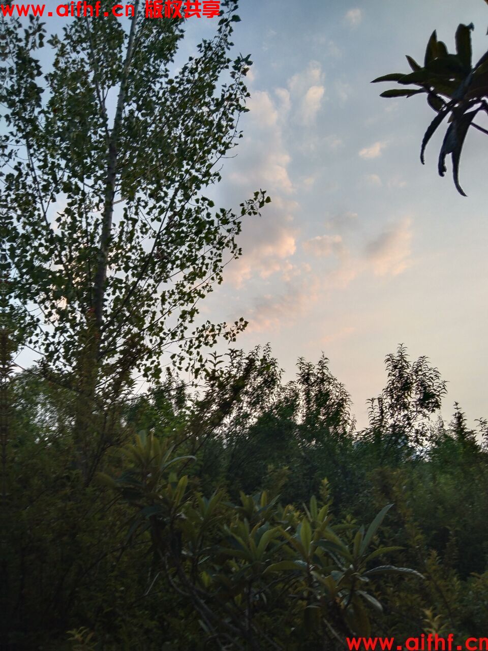 1-230630221I1104.jpg