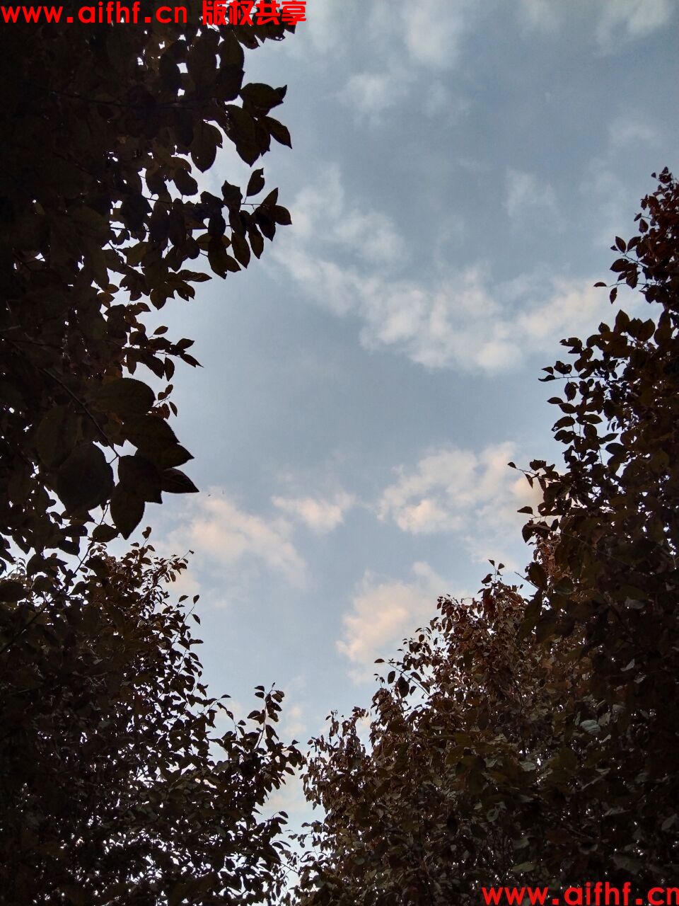1-230630221GXV.jpg