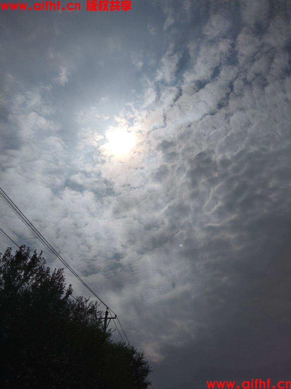 1-230630221Gc53.jpg